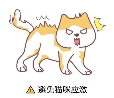 猫鼻支病毒：猫咪间的隐形杀手，您知道吗？