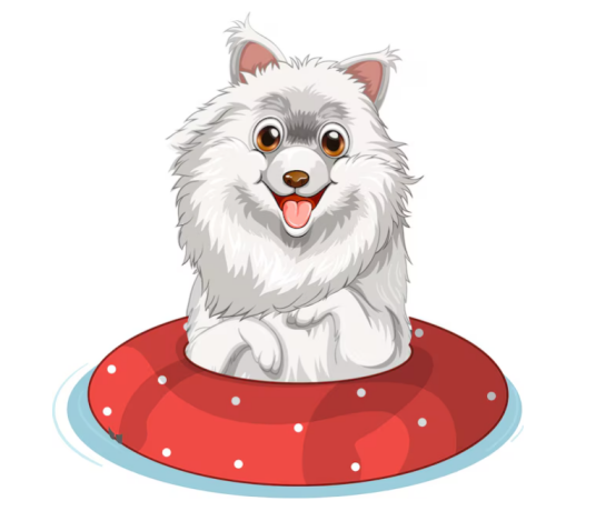 萨摩耶的好养吗？