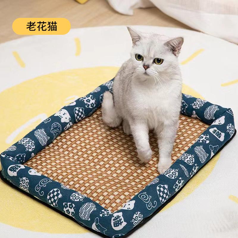 仙尘 宠物窝老花猫