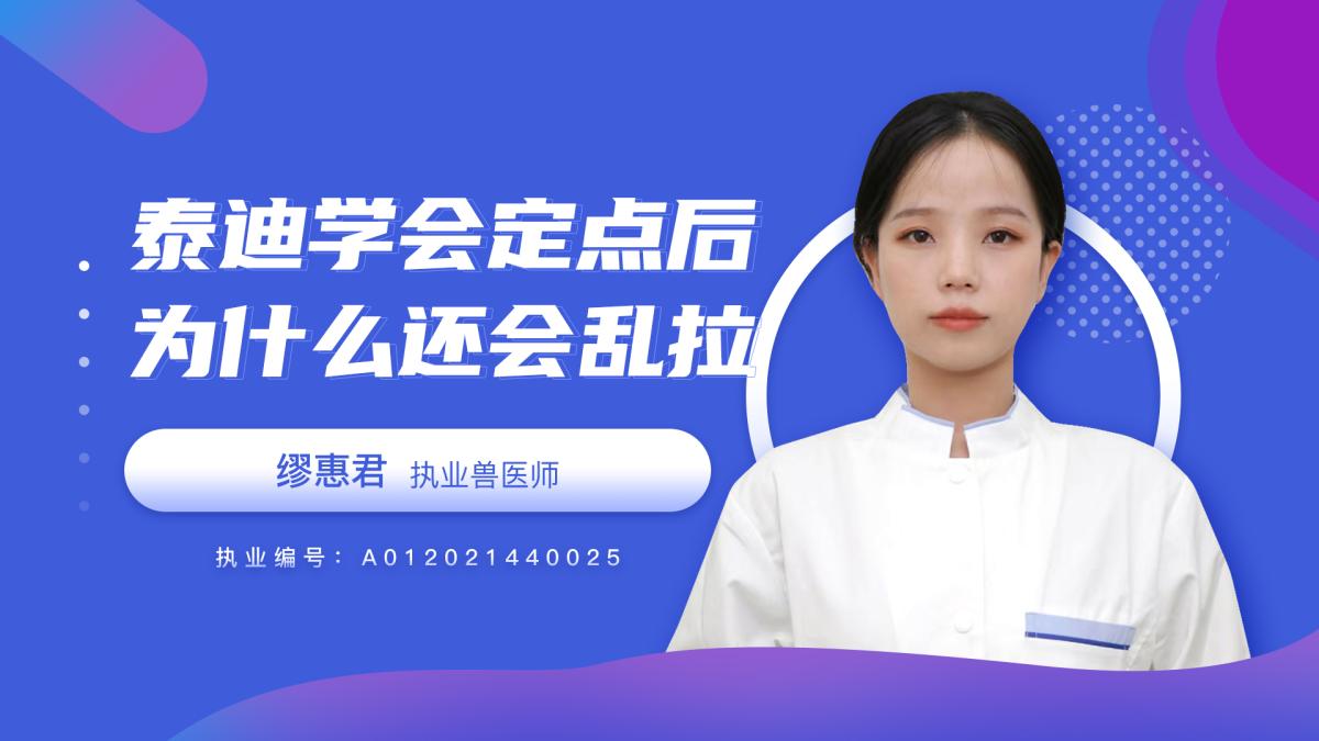 泰迪學(xué)會定點(diǎn)后為什么還會亂拉呢？