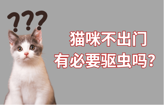 宠物猫有必要驱虫吗？