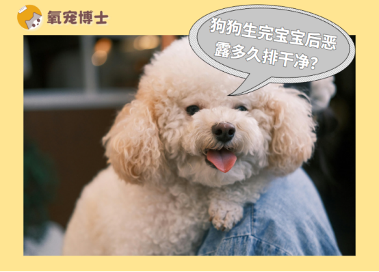 狗狗生完宝宝后恶露多久排干净？