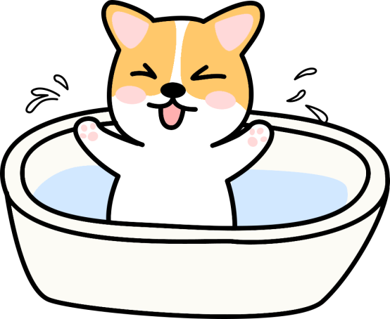 狗狗掉毛
