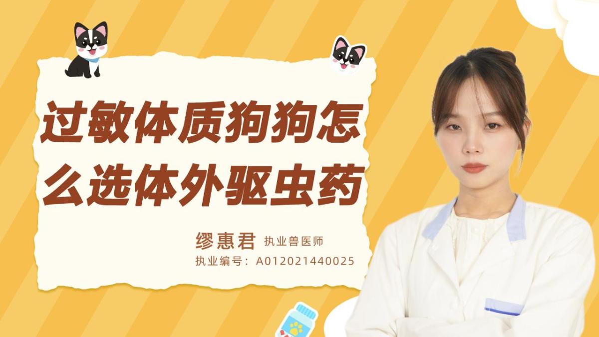 过敏体质狗狗怎么选体外驱虫药？