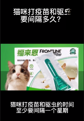 猫咪打疫苗和驱虫需要间隔多久？