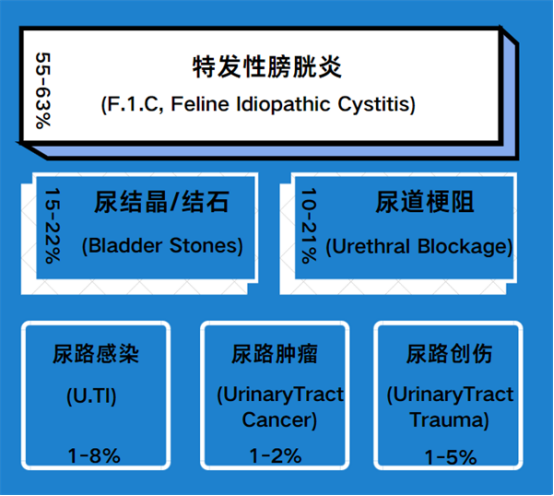 猫咪尿频吃什么药？