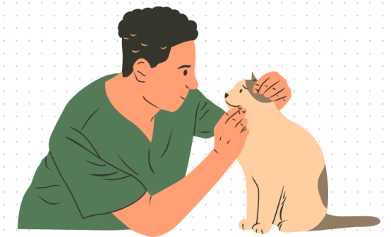 猫咪吐黄水不吃东西吃什么药