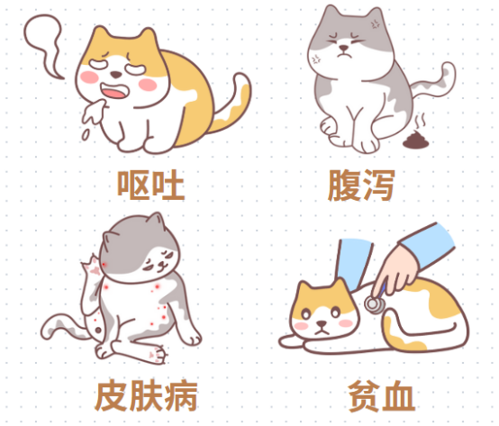 宠物猫需要驱虫吗？