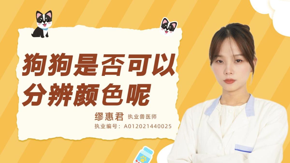 狗狗是否可以分辨颜色呢？