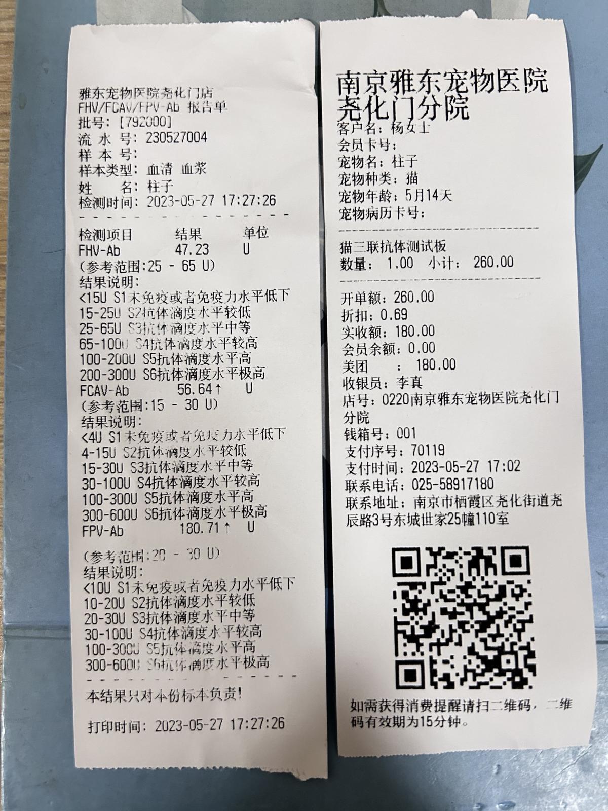 https://s.isdpp.com/images/WpwC5ZfR6PgxKwDJ