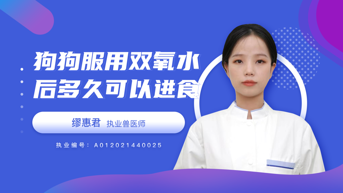 狗狗服用双氧水后多久可以进食？