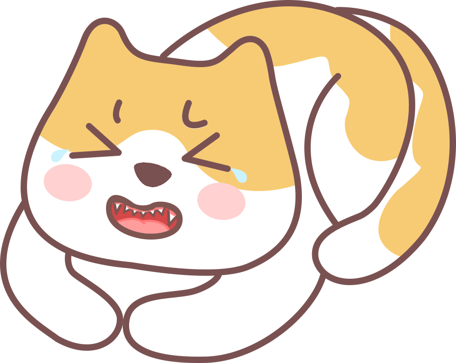 猫咪不吃东西的常见原因
