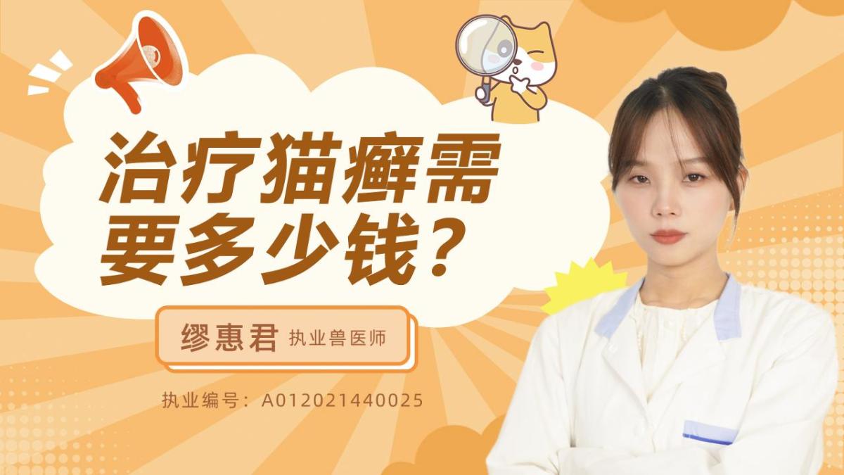 治疗猫癣需要多少钱？