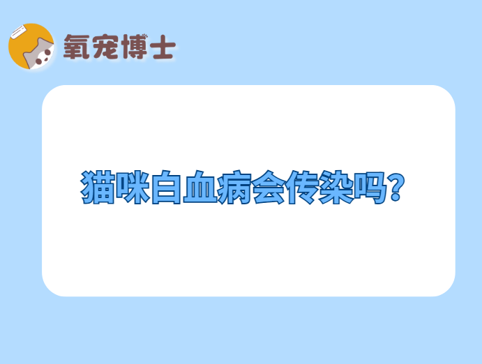 猫咪白血病会传染吗？