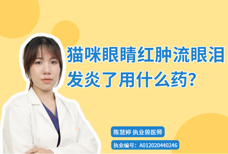 猫咪眼睛红肿流眼泪发炎了用什么药？