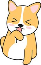 狗狗突然不願意出門