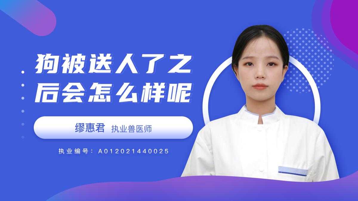 狗被送人會怎么樣？