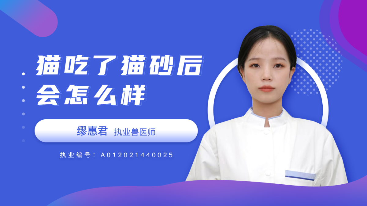 貓吃了貓砂后會(huì)怎么樣？