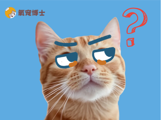 猫咪眼睛里老是有眼屎？竟是这些健康隐患在作祟！