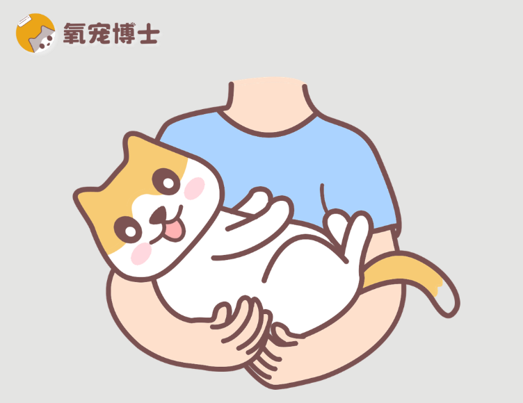 刚捡的小猫带回家要注意什么？