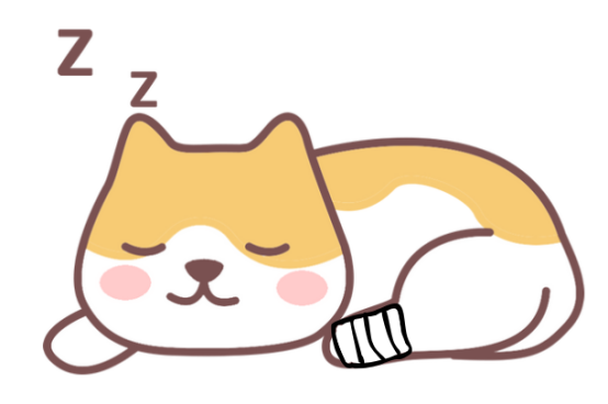 猫受伤了怎么办？