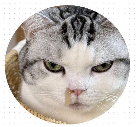 猫咪流鼻涕吃什么药？