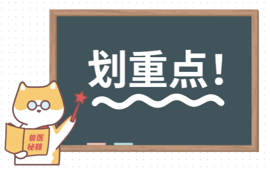 狗狗淚痕嚴重怎麼辦