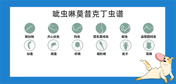 狗狗驅蟲藥怎麼選？