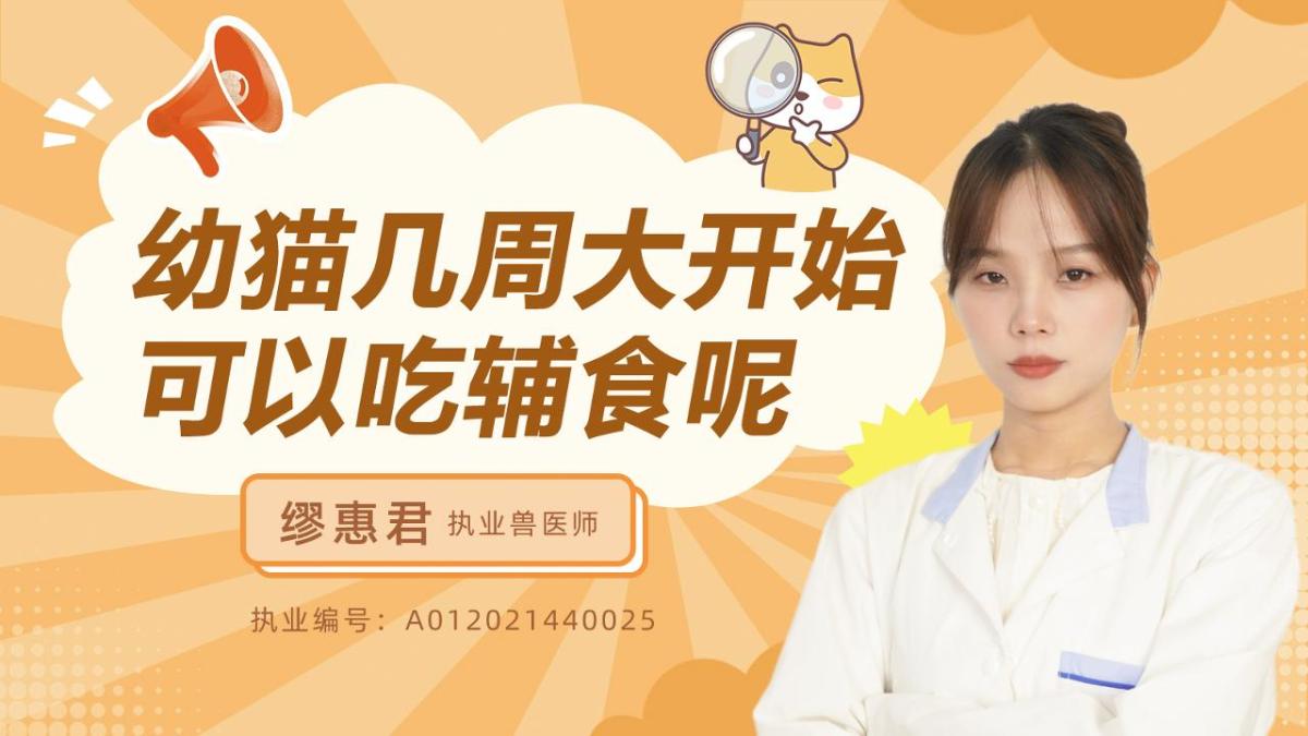 幼猫几周开始可以吃辅食呢？