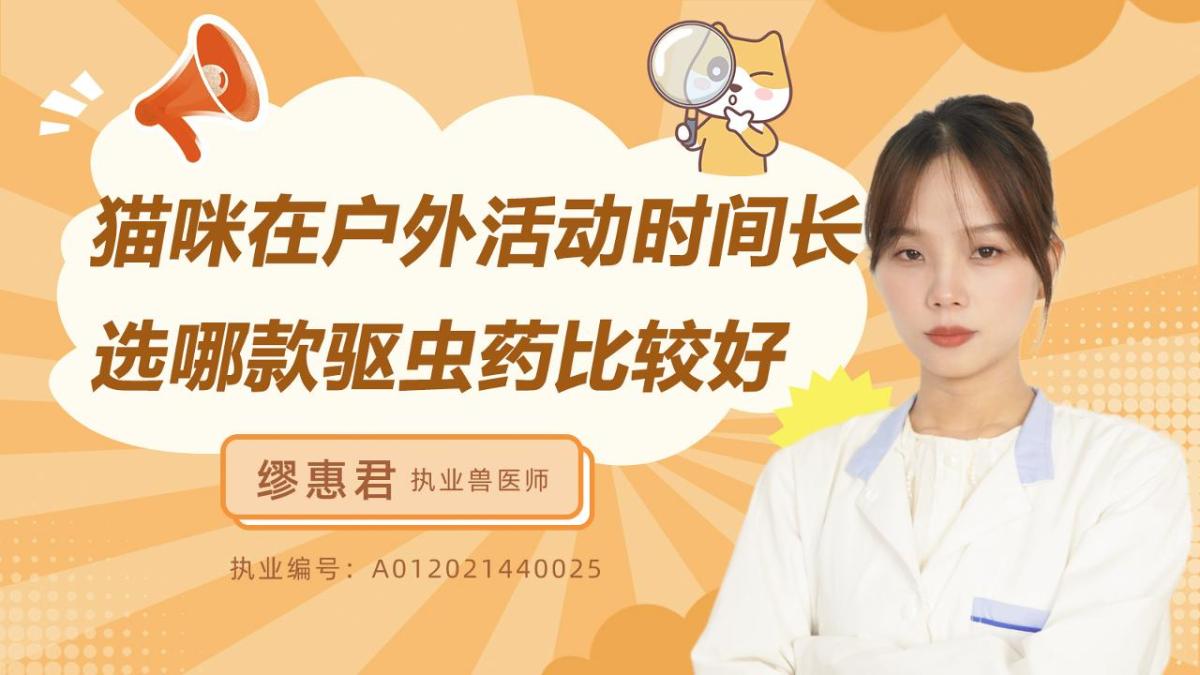 猫咪在户外活动时间长选哪款驱虫药比较好？