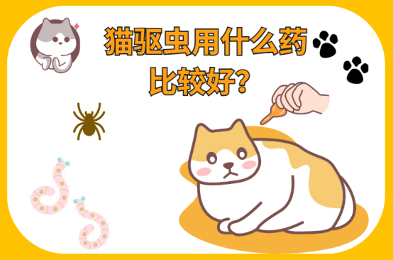 猫驱虫用什么药比较好？看这里！