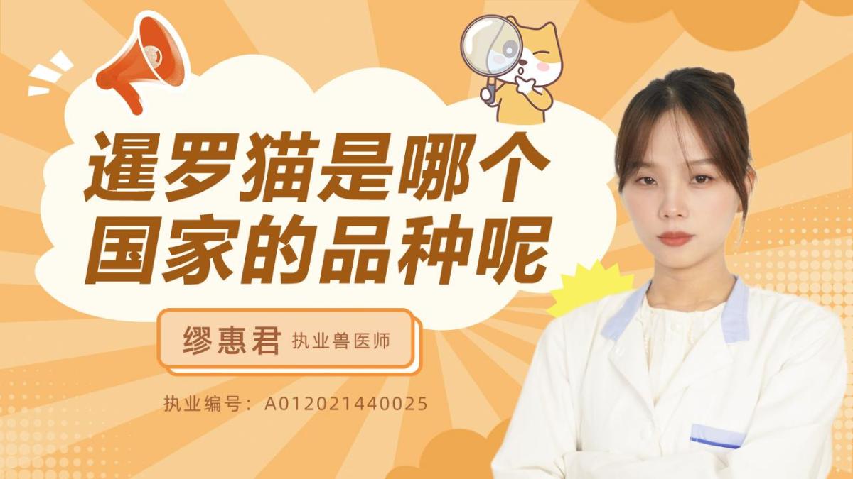 暹罗猫是哪个国家的品种呢？