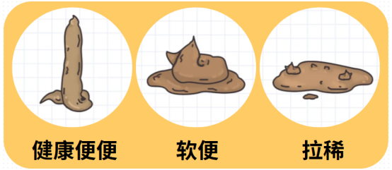 猫咪软便拉稀但精神很好