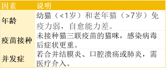 猫咪感冒能自愈吗
