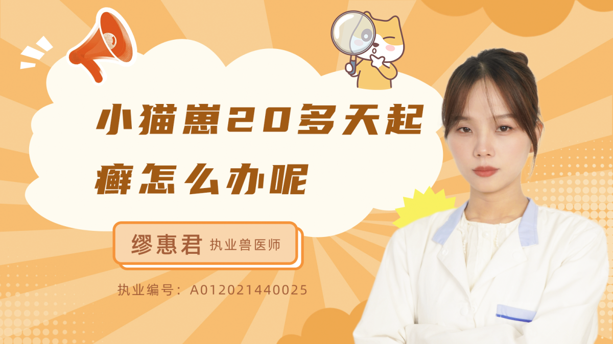 小猫崽20多天起癣怎么办？