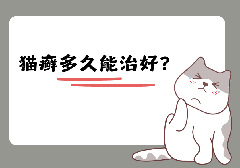 猫咪得了猫癣多久能治好？