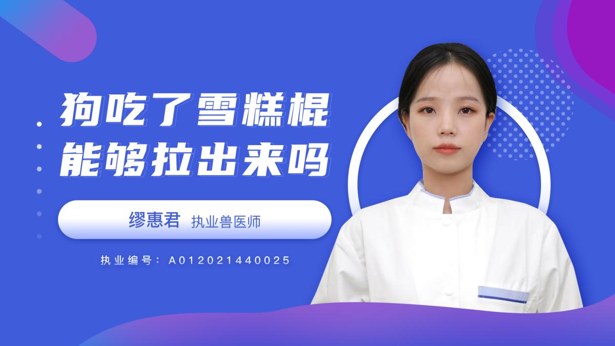 狗狗吃了雪糕棍能拉出來嗎？