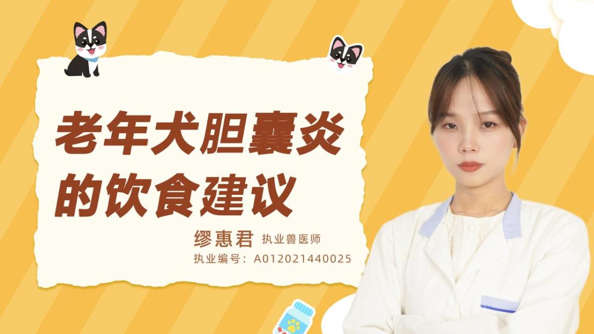 老年犬胆囊炎的饮食建议有哪些？