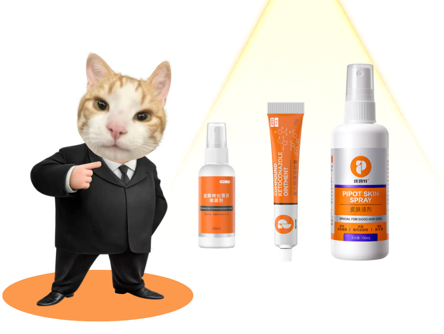 猫癣皮肤喷剂