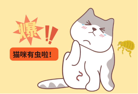 猫咪身上有虫的症状
