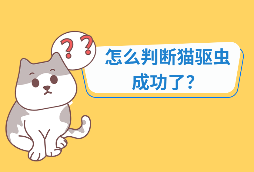 怎么判断猫驱虫成功了？