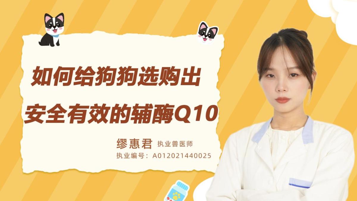 如何给狗狗选购出安全有效的辅酶Q10？