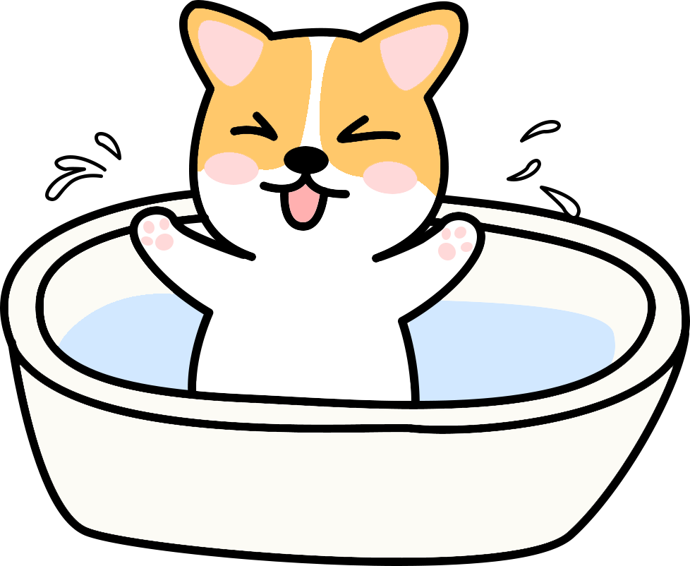 狗狗怀孕后可以洗澡吗