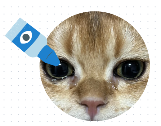 猫咪眼睛流脓一样的眼屎睁不开用什么药？