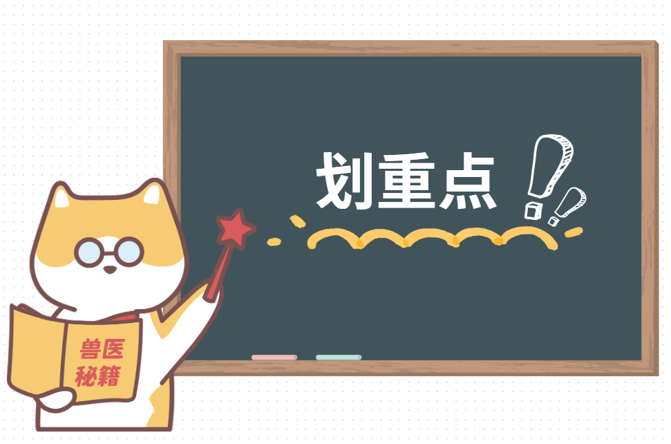 猫咪耳螨怎么治疗