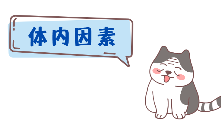 猫癣反复的原因