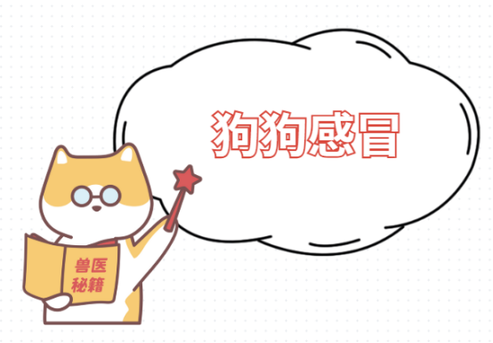 狗狗感冒吃什么药？