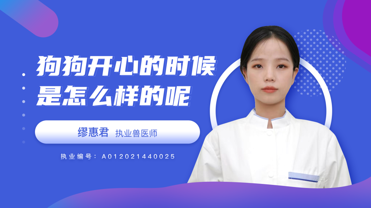 狗狗开心的时候是怎么样的呢？