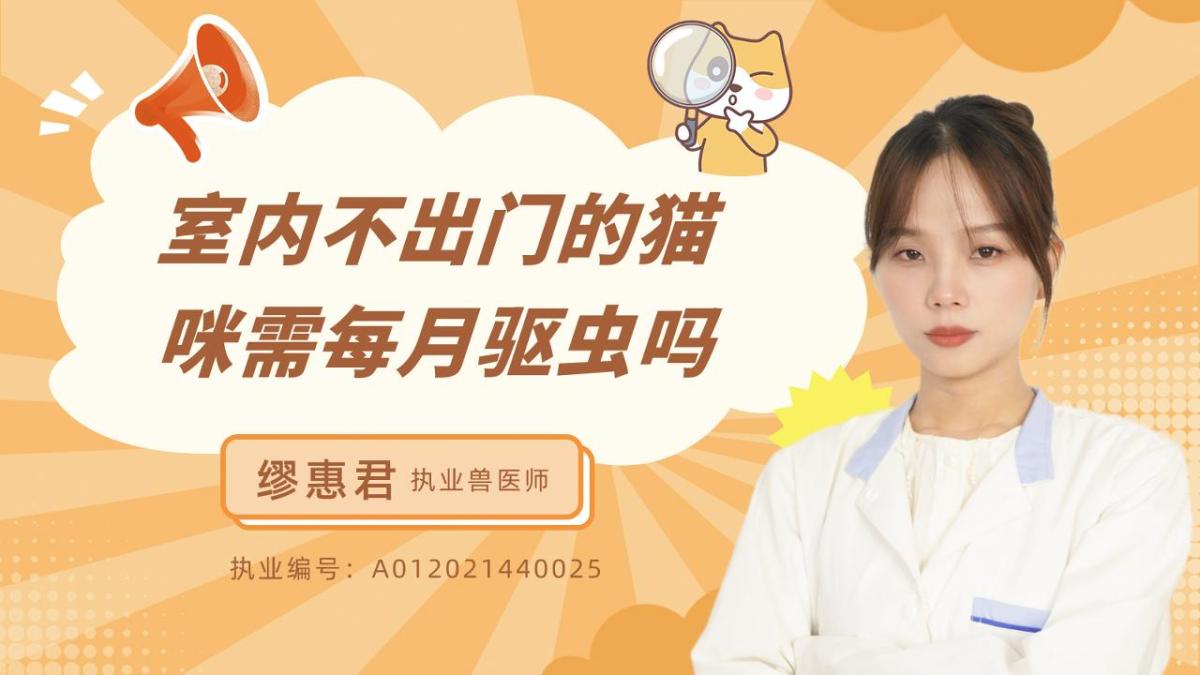 室内不出门的猫咪需要每月驱虫吗？