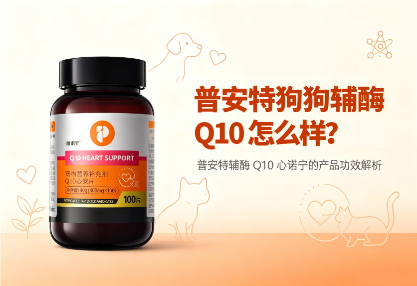 普安特狗狗辅酶Q10怎么样？心诺宁的产品功效解析